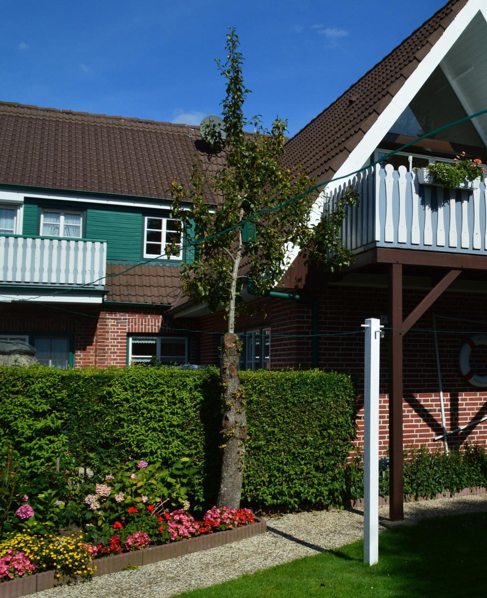 Nordseestuebchen Whg 04 尼布卢姆 外观 照片